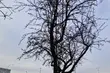 Jaka pogoda czeka nas w piątek?