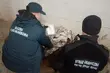 Udaremniono ogromny przemyt narkotyków wartych 3,7 mln zł