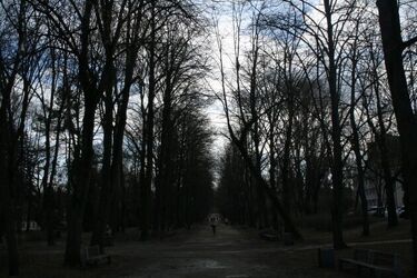 Piątek będzie pochmurny i bardzo wietrzny
