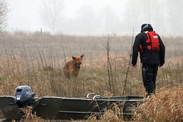 "Rudy" błąkał się po rozlewiskach. Pomoc przyszła w porę