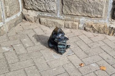 W Białymstoku odbędzie się pierwszy spacer śladami WidziMisiów