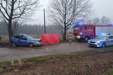 Nie żyje 21-latek. Uderzył w drzewo