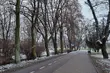 Deszczowy poniedziałek. IMGW ostrzega przed silnym wiatrem