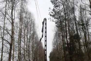 Przez porywisty wiatr w Podlaskiem 10 tys. odbiorców nie ma prądu