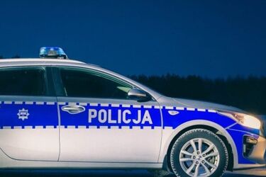 Udusił psy, bo za głośno szczekały. Potem zakopał je w lesie