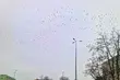 Coraz zimniej. W nocy będzie przymrozek do -5°C