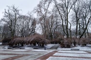 Będzie mokro. W Białymstoku popada deszcz ze śniegiem 