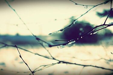 IMGW ostrzega przed oblodzeniem