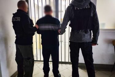 51-latek zatrzymany za znęcanie się nad zwierzętami