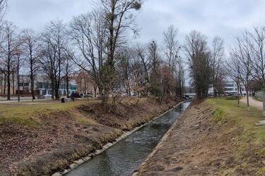 Drugiego dnia marca odczuwalna temperatura wyniesie 1°C