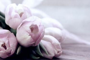 Zrób zakupy w Galerii Jurowiecka i odbierz upominek z okazji Dnia Kobiet