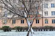 Kolejny dzień z opadami, tym razem marznącymi