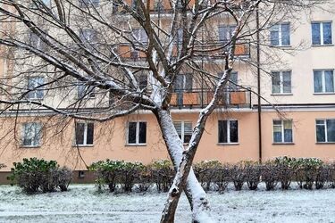 Kolejny dzień z opadami, tym razem marznącymi