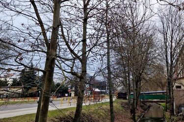 Półmetek miesiąca przyniesie spadek temperatury