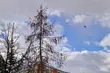 Czeka nas dzień pełen słońca