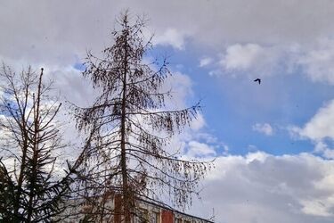 Czeka nas dzień pełen słońca