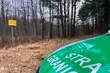 Bilans z granicy. Zatrzymano 9 kurierów i odnotowano 240 prób