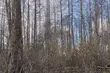 W gminie Narewka znaleziono zwłoki mężczyzny