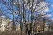 Początek dnia będzie pełen słońca, choć warto wziąć parasol