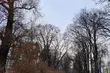 Ostatni weekend marca będzie dość chłodny