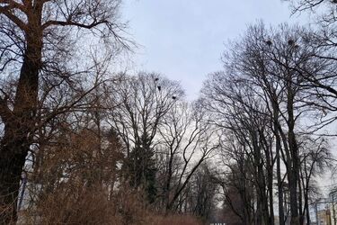 Ostatni weekend marca będzie dość chłodny