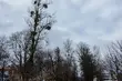 Początek tygodnia przywita nas opadami deszczu