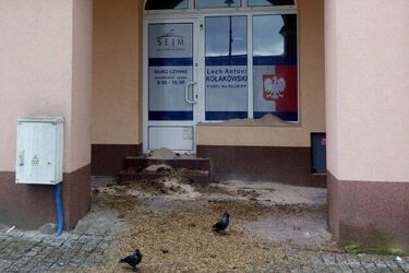 Pod biurem poselskim Lecha Kołakowskiego ktoś rozrzucił kiszonkę