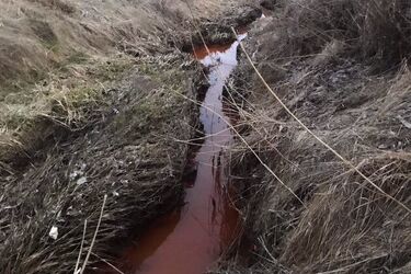 Dlaczego Dolistówka miała rdzawy kolor? Są już wyniki badań