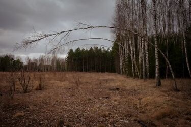 A może trauma ta nie jest prawdziwa? – wystawa fotografii Kamila Śleszyńskiego