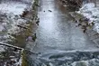 Wrócą śnieg i przymrozek 