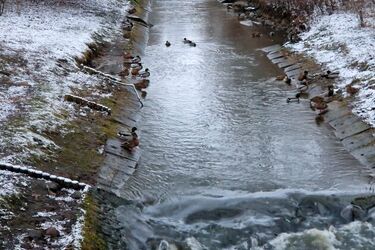 Wrócą śnieg i przymrozek 