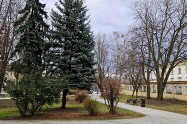 Temperatura w Białymstoku nieco wzrośnie