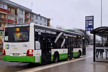 Miasto wprowadzi kartę białostoczanina? Jest duża szansa