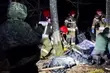 Akcja ratunkowa w Puszczy Białowieskiej. 18-letni Syryjczyk utknął na bagnach