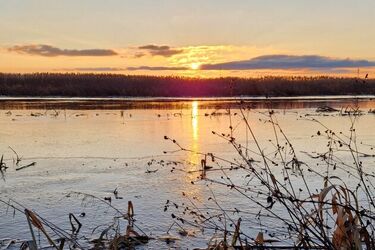 Jaki będzie kwiecień w Białymstoku? Sprawdź długoterminową prognozę