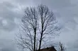 IMGW ostrzega. Wracają przymrozki