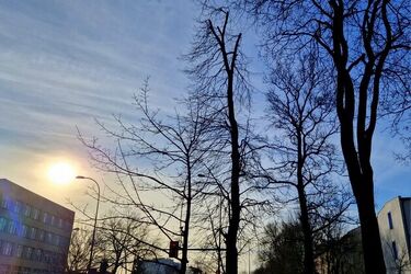 Wiosna! W Białymstoku coraz cieplej