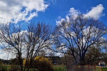 Półmetek tygodnia zapowiada się na ciepły, ale i mokry