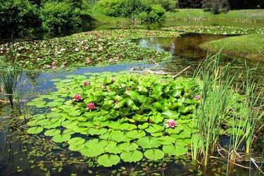 Arboretum w Kopnej Górze już otwarte