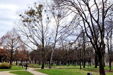 Piątek nieco pochmurny, ale bez opadów