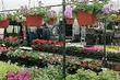 Na Giełdzie odbędą się Targi Ogrodnictwa