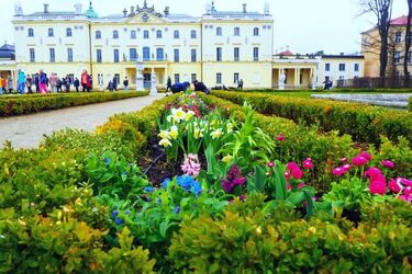 Salon ogrodowy Pałacu Branickich nabrał barw. Posadzono 9 tys. kwiatów