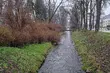 Początek tygodnia z przelotnym deszczem