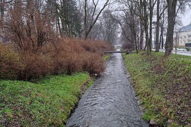 Początek tygodnia z przelotnym deszczem