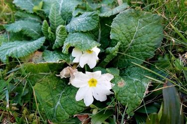 Jaką pogodę przyniesie półmetek tygodnia?