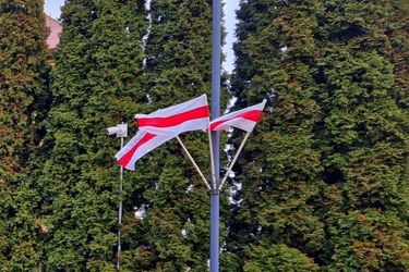 Białorusini w Polsce. Najwięcej z nich mieszka w Podlaskiem?
