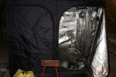 Powiat białostocki. Policja zlikwidowała plantację konopi 