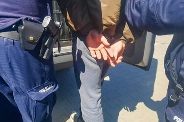 Pobili, wsadzili do auta i zawieźli do lasu. Grupa młodych osób trafiła do aresztu