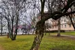 Jaką pogodę przyniesie półmetek tygodnia?