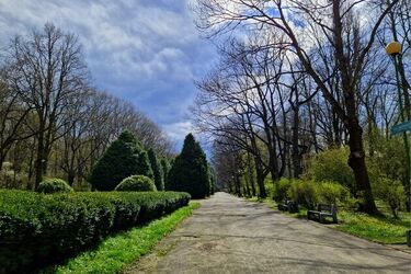 IMGW ostrzega przed przymrozkami w nocy